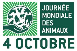 Journée mondiale des animaux, lundi 4 octobre 2021