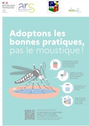 Moustique tigre en Auvergne-Rhône-Alpes : agissons ensemble !