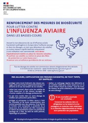 Relèvement du risque Influenza aviaire