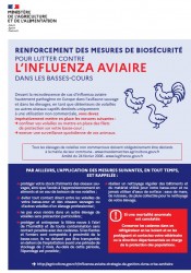 Relèvement du risque Influenza aviaire 